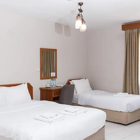 Hotel Homelike