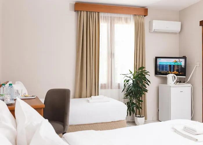 Homelike * キレニア